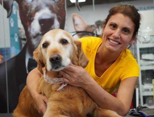 Груминг студио „Dog Style“ и груминг академия „Експерт“