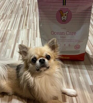 Зоомагазин/склад „Husse“, гр. Пловдив