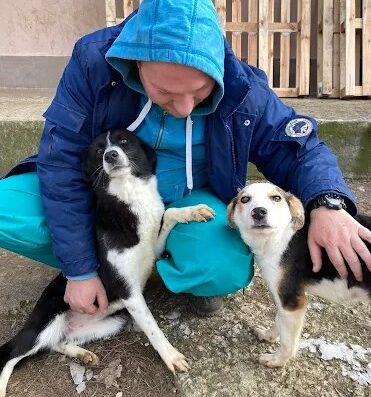 Общински приют за кучета на „Екоравновесие“, кв. Слатина