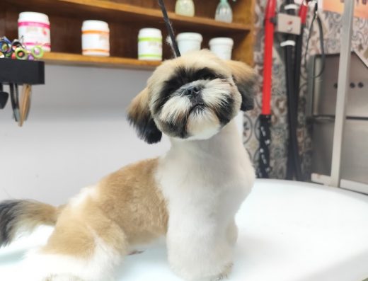 Груминг салон и магазин „Fluff & Buff“