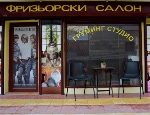 Груминг студио за домашни любимци – Разград