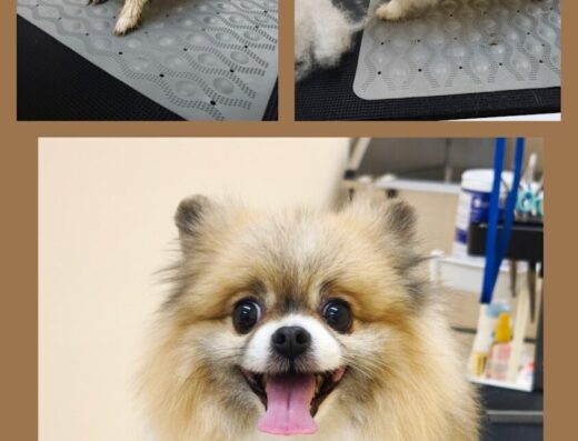 Grooming studio „Rensun“