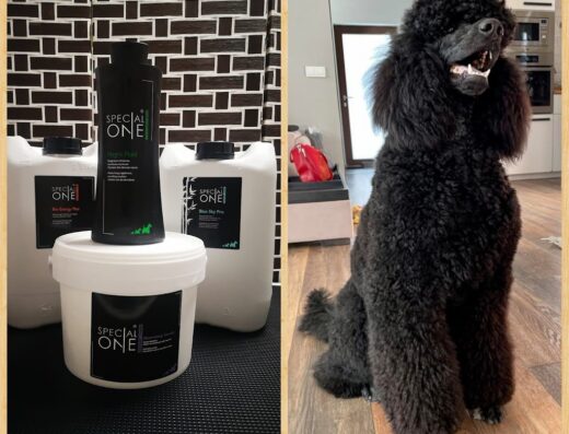 Груминг салон „Джени“