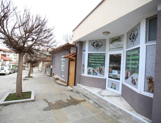 Груминг студио и ветеринарен кабинет „Грийн Хийлс Вет“