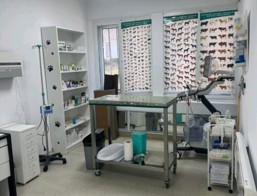 Ветеринарна амбулатория „Happy Tails“