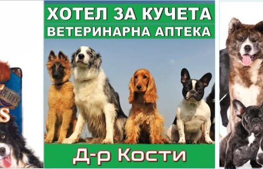 Хотел за кучета „Доктор Кости“