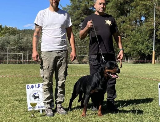 Хотел за кучета „Трифоновланд“