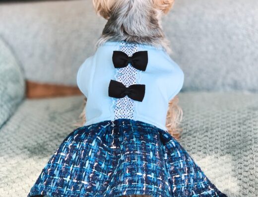 Ръчно изработени аксесоари и дрехи за кучета „Mishonka“