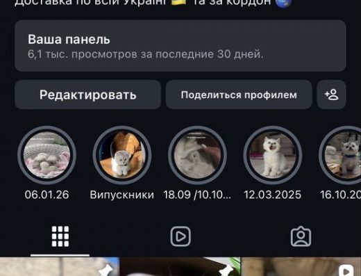 Шотландський прямовухий хлопчик