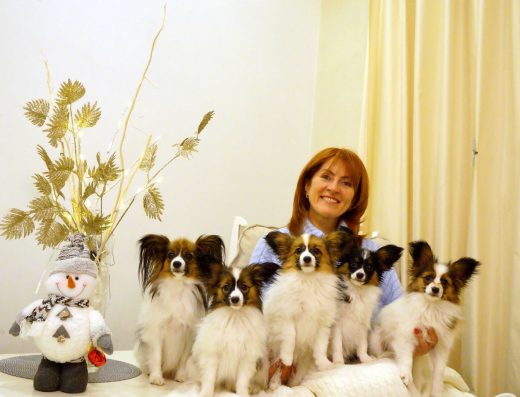 Папільйон: найкращий друг для вас та вашої родини