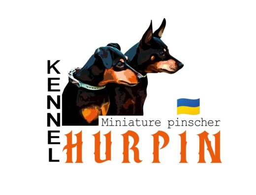 Цвергпінчер: Породні цуценята від племінного розплідника “HURPIN”