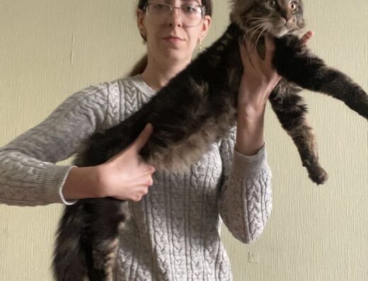 Мейн кун велетень 4 місяці