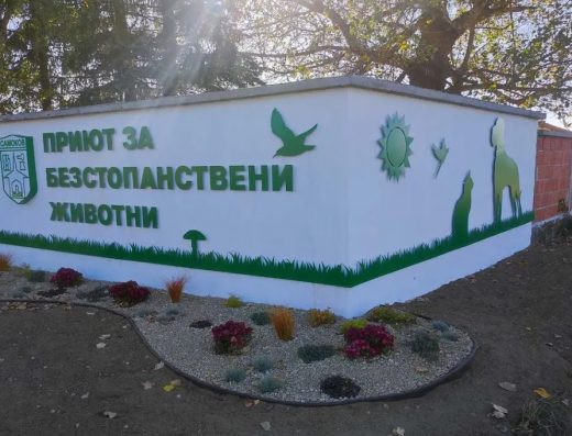 Приют за безстопанствени животни, Самоков