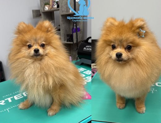 Груминг салон „Щастлива опашка“