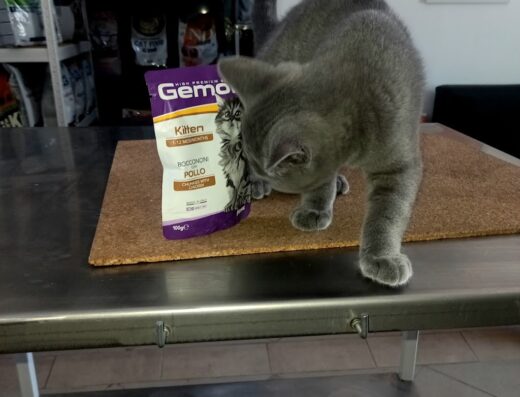 Ветеринарен кабинет „ХаскоВет“