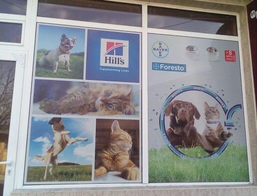 Ветеринарен кабинет Тодорови