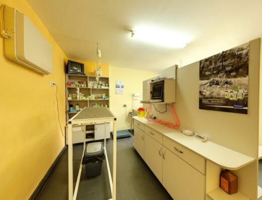 Ветеринарна Клиника „Ноавет“