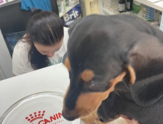 Ветеринарна клиника и зоомагазин „Зооландия“