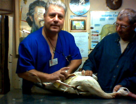 Ветеринарна амбулатория „Доктор Ядков“