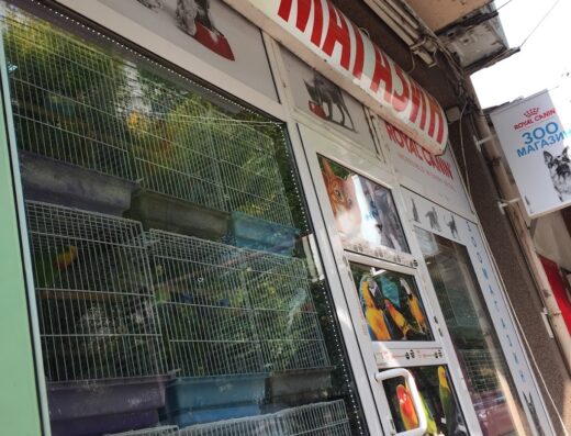 Зоомагазин „Воден свят“