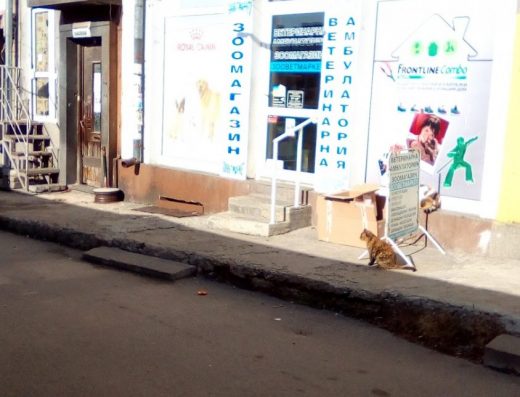 Зооветмаркет и ветеринарна амбулатория