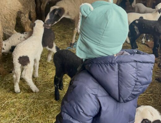 Семейна ферма “Симо и Фамилия”