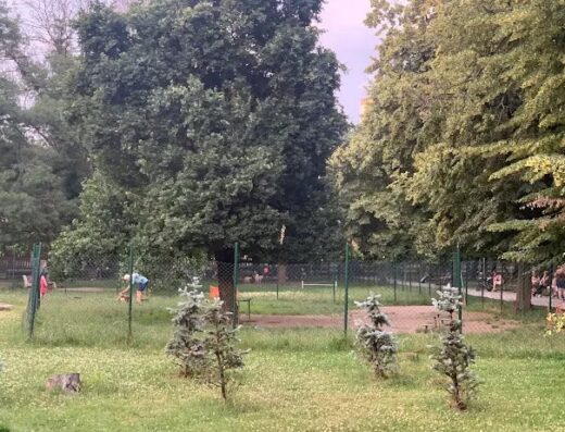 Кучешки парк „Luni“