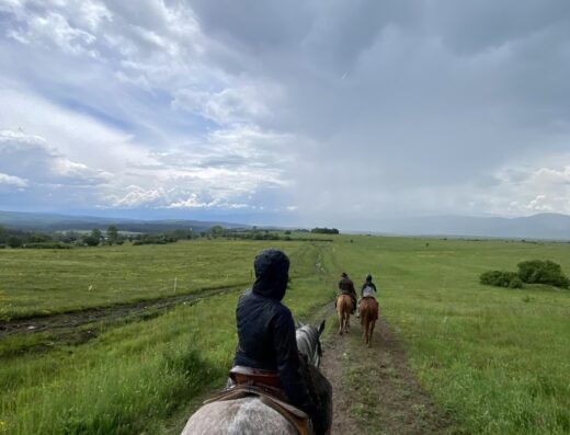 Конна база „Адгор“