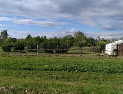 Ферма за щрауси Божурище