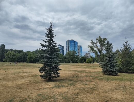 Кучешки парк