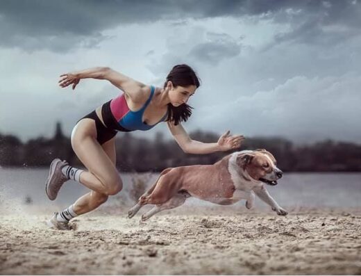 Американський стаффордширський тер’єр: Породні малюки з професійного розплідника “Strider in Diversity”