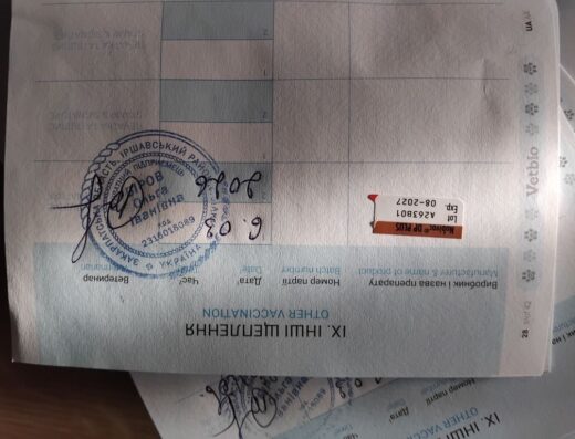 Кокер-спанієль: Чистокровні чорні малюки