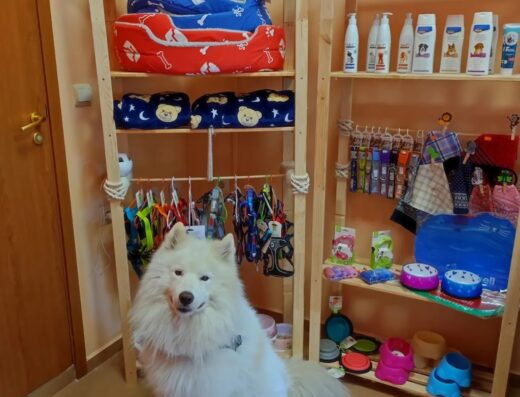 Пекарната на Арис и Кики