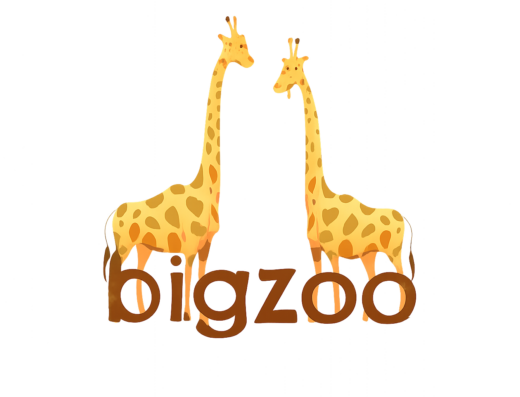 Інтернет-магазин «BigZoо»