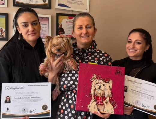 Grooming studio & Boutique Doggy Dog