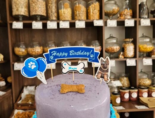 Пекарна за кучета „Bash dog bakery“, гр. Пловдив