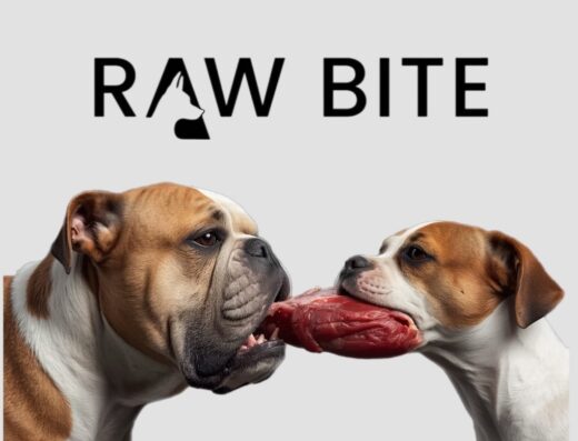 Натуральне харчування “Raw Bite”