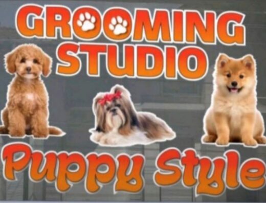 Puppy Style Grooming