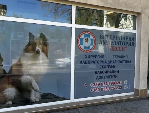 Ветеринарна клиника „Лесси“