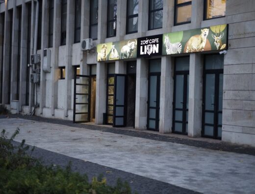 Zoo Cafe LION