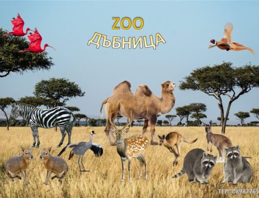Зоокът Дъбница
