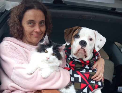 Розплідник Американських Бульдогів та Мейн-кунів “From the Empire of White Angel”