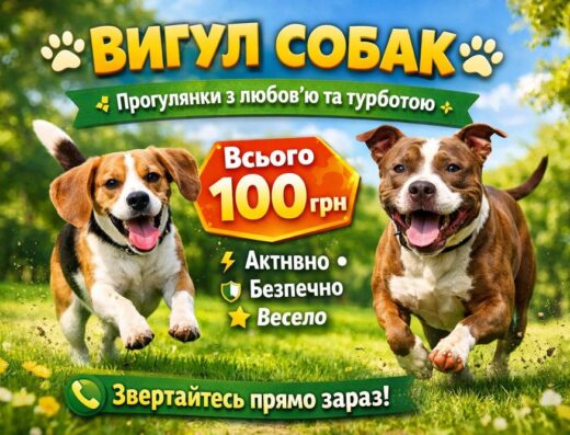 Вигул собак: прогулянки з любов’ю та турботою