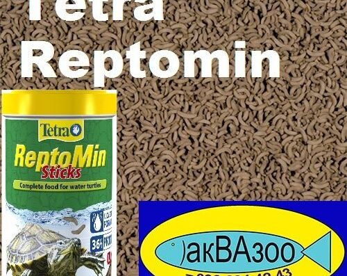 Корм для водяних черепах Tetra Reptomin та великий асортимент кормів для риб