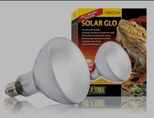 Лампа ультрафіолетова Hagen Exo Terra Solar Glo