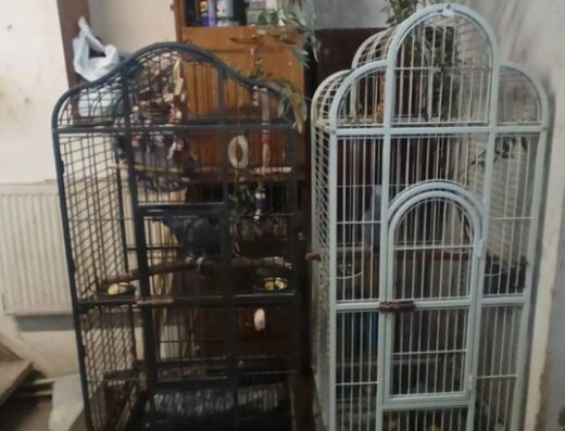 Клітки та все для утримання папуг