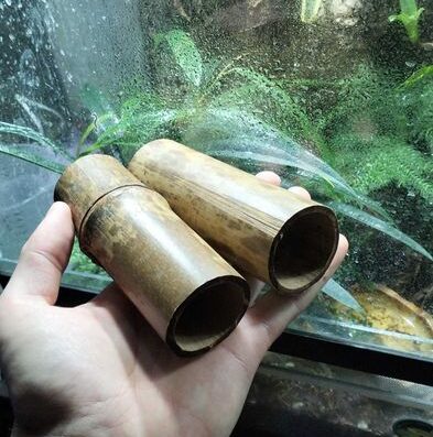Бамбукові стовбури та укриття для рептилій