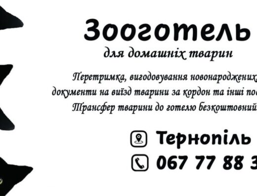 Офіційний зооготель: турботлива перетримка та післяопераційний догляд у Байківцях
